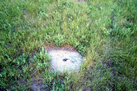 Waterford Drive-In Theatre - Speaker Pole Anchor - Photo From Water Winter Wonderland (newer photo)